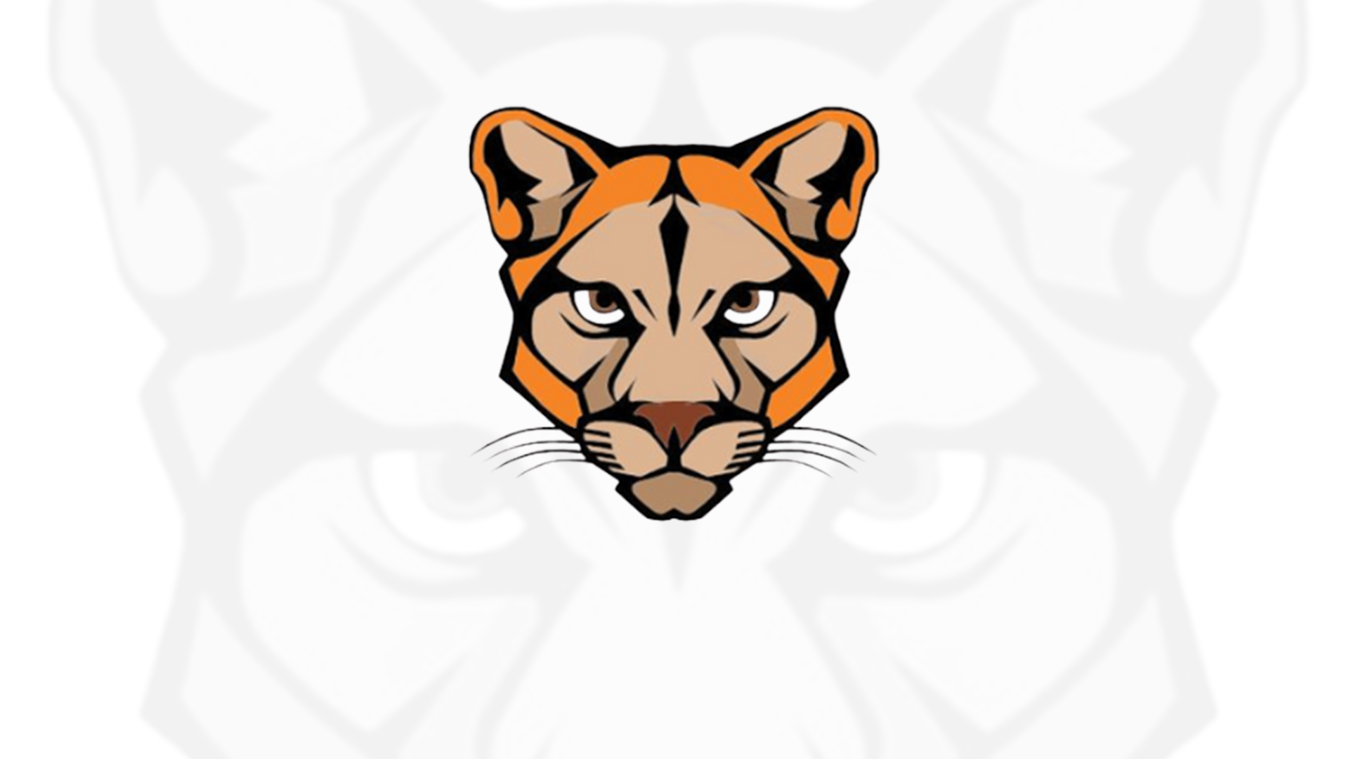 2019 Cougars Season Ends Strong